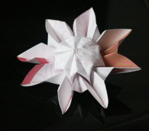Origami Daisy, Paper Flower Origami Daisy, Paper Flower