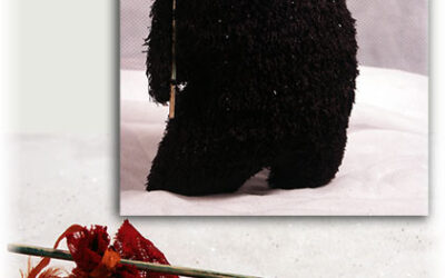 Travelin’ Sasquatch